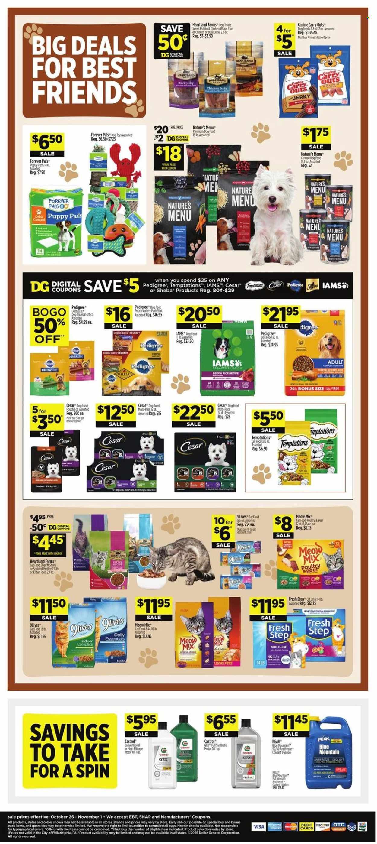 Dollar General ad - 10/26/2025 - 11/01/2025. Page 18