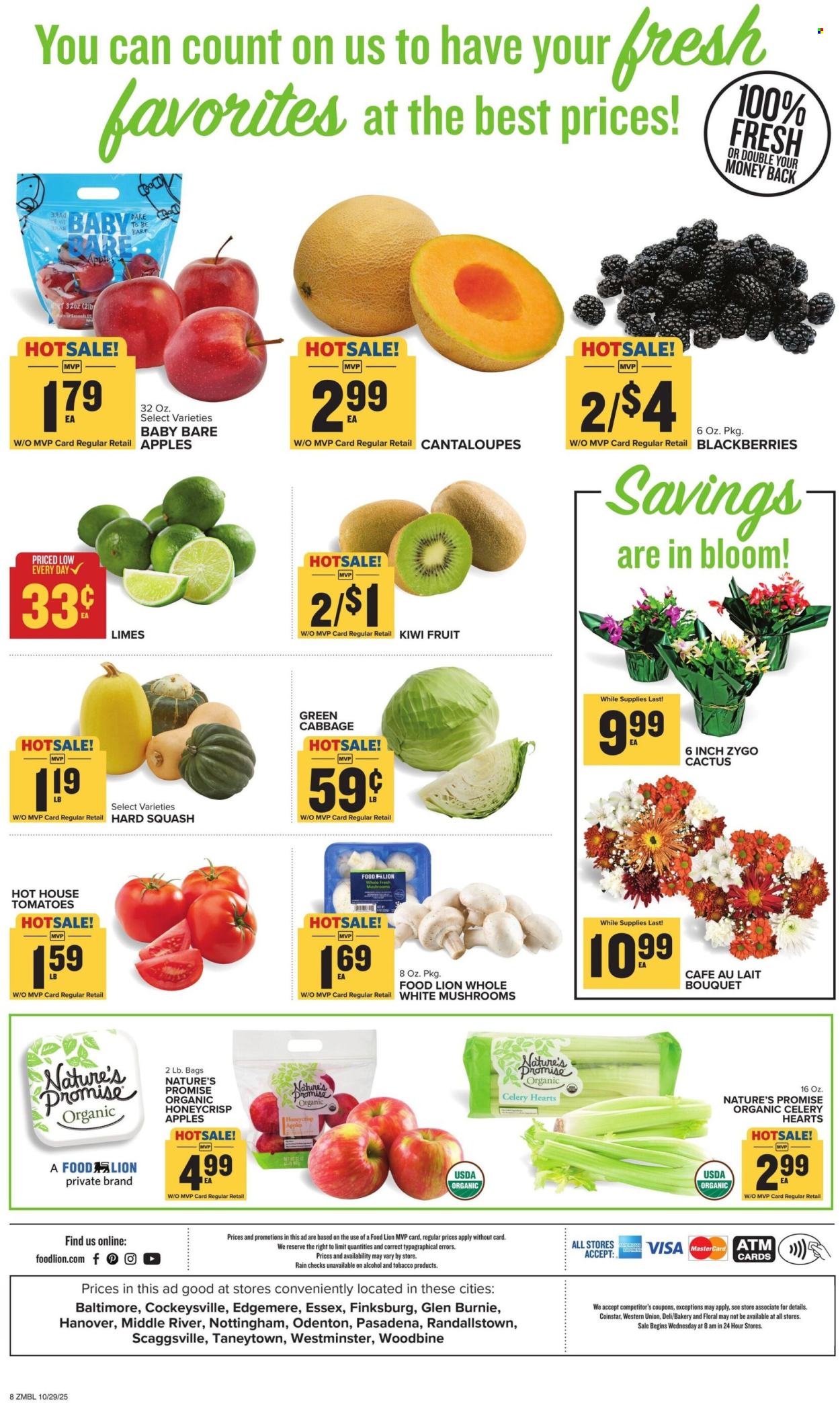 Food Lion ad - 10/29/2025 - 11/04/2025. Page 8