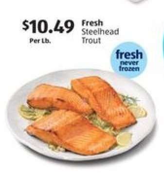 Fresh Steelhead Trout