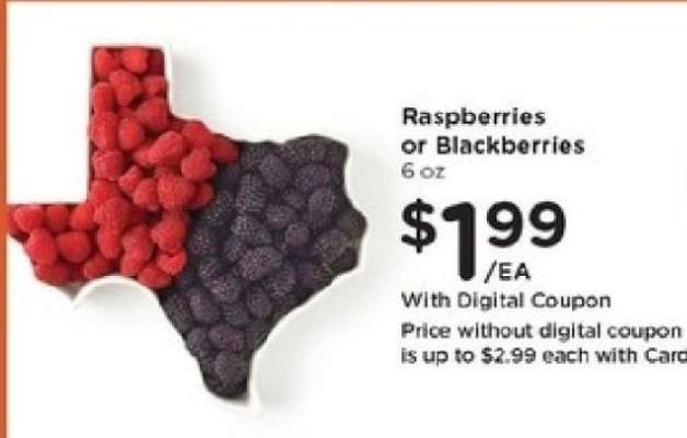 Raspberries or Blackberries
