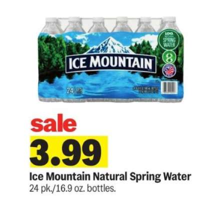 Ice Mountain Natural Spring Water