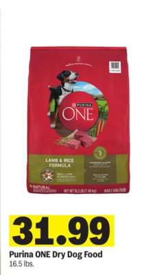 Purina ONE Dry Dog Food