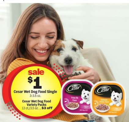 Cesar Wet Dog Food Single