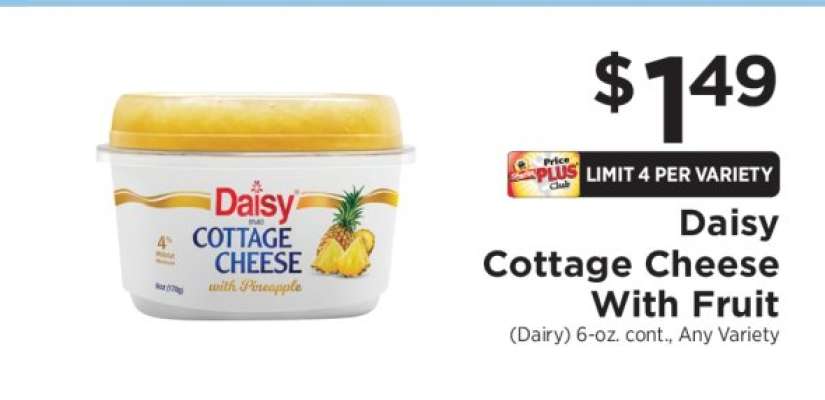 Daisy Cottage Cheese With Fruit