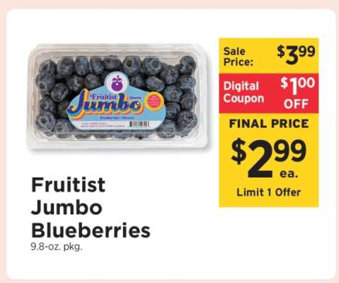 Fruitist Jumbo Blueberries