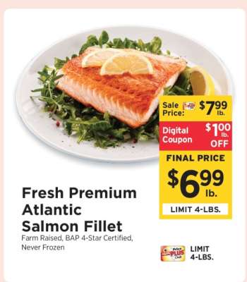 Fresh Premium Atlantic Salmon Fillet
