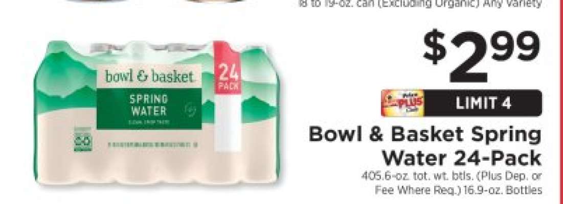 Bowl & Basket Spring Water 24-Pack