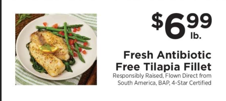 Fresh Antibiotic Free Tilapia Fillet