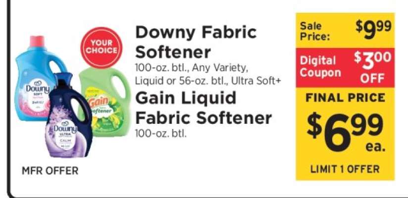 Downy Fabric Softener / Gain Liquid Fabric Softener