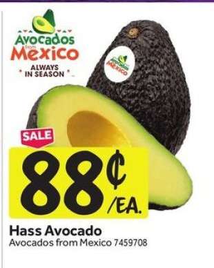 Hass Avocado