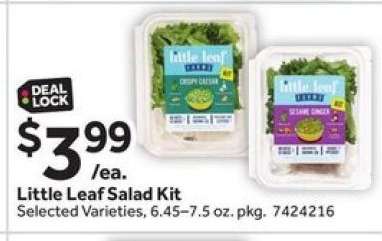 Little Leaf Salad Kit