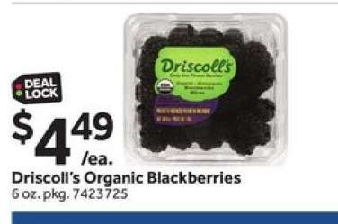 Driscoll's Organic Blackberries