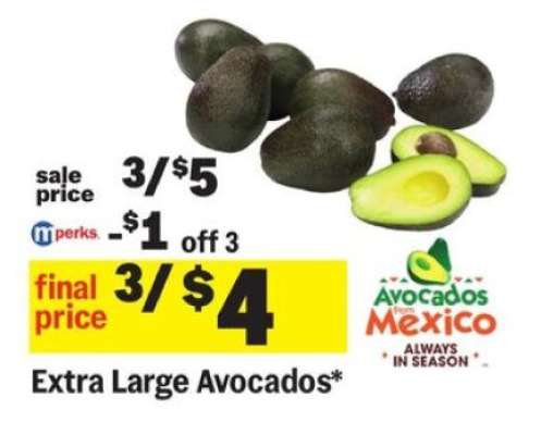 Extra Large Avocados