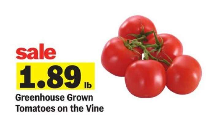 Greenhouse Grown Tomatoes on the Vine