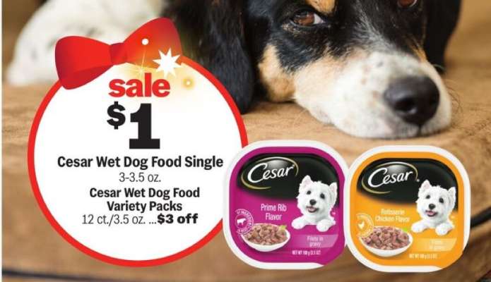 Cesar Wet Dog Food Single