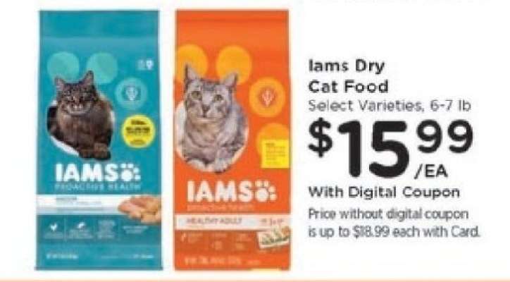 Iams Dry Cat Food