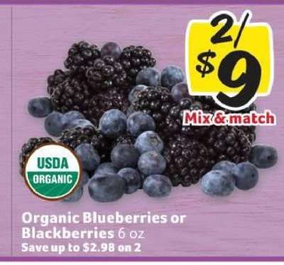 Organic Blueberries or Blackberries