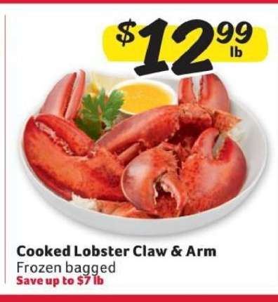 Cooked Lobster Claw & Arm
