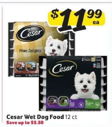Cesar Wet Dog Food*