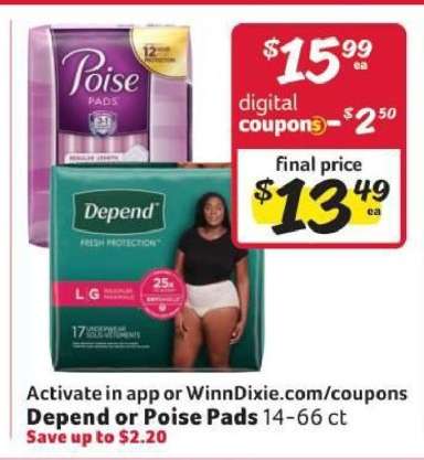 Depend or Poise Pads