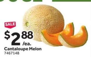Cantaloupe Melon