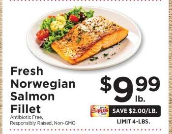 Fresh Norwegian Salmon Fillet