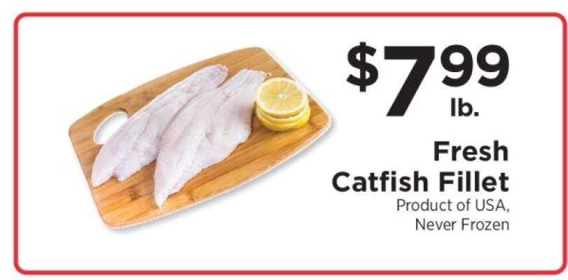 Fresh Catfish Fillet