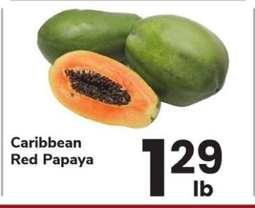 Caribbean Red Papaya