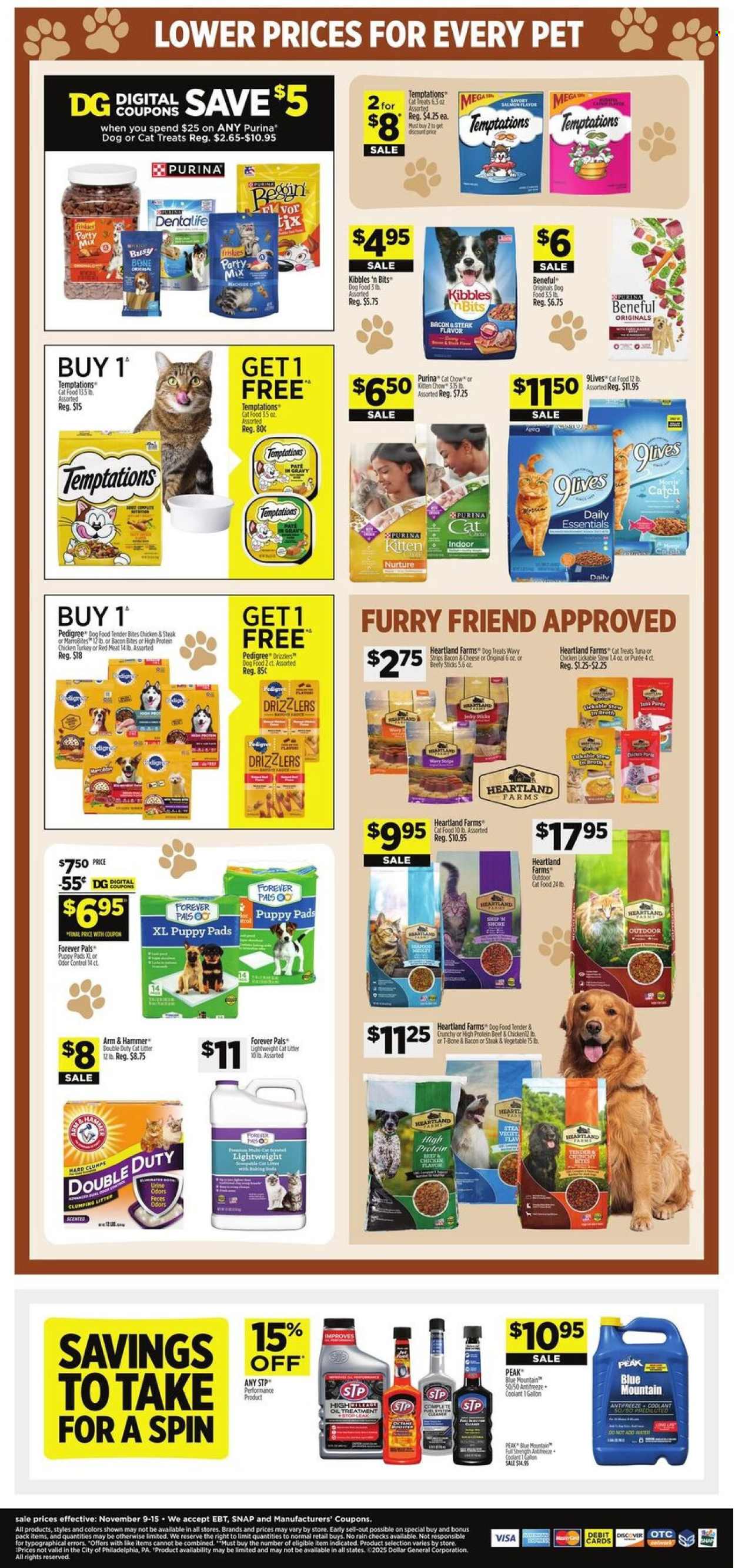 Dollar General ad - 11/09/2025 - 11/15/2025. Page 11