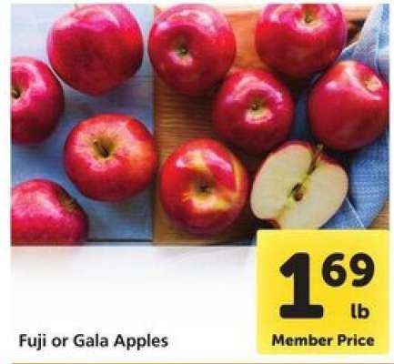 Fuji or Gala Apples