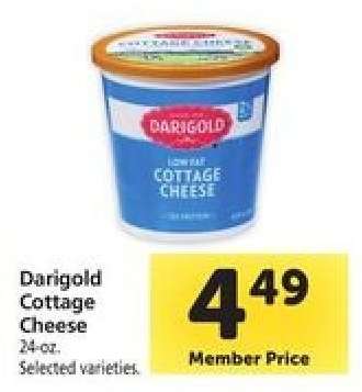 Darigold Cottage Cheese