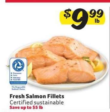 Fresh Salmon Fillets