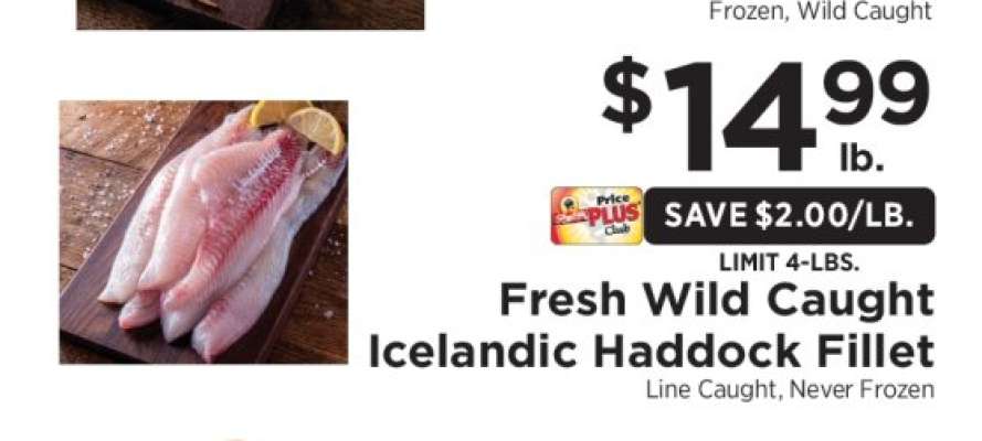 Fresh Wild Caught Icelandic Haddock Fillet
