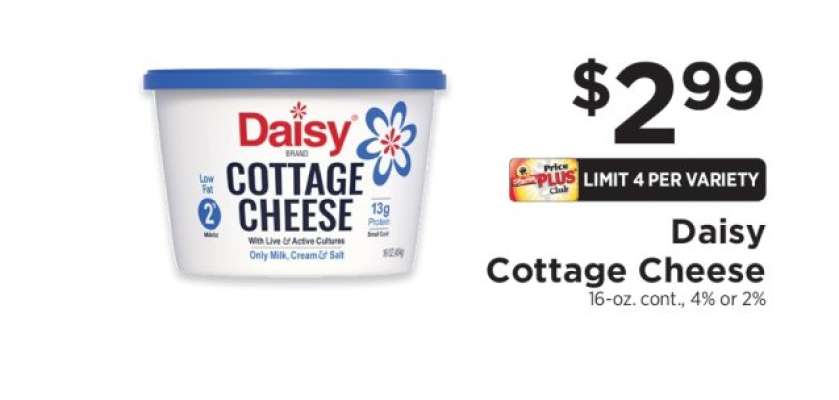 Daisy Cottage Cheese