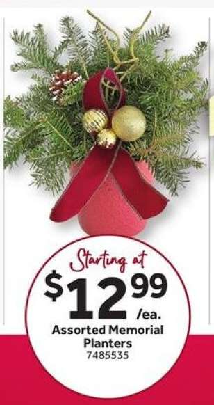 Assorted Memorial Planters