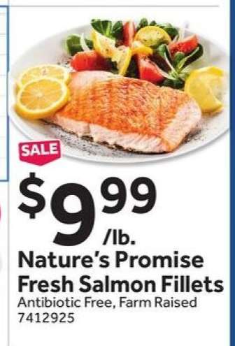 Nature's Promise Fresh Salmon Fillets