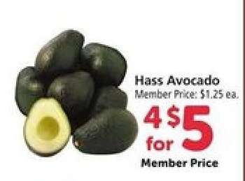 Hass Avocado