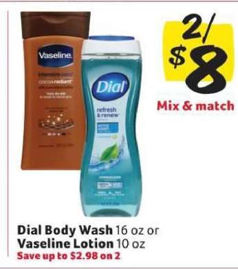 Dial Body Wash or Vaseline Lotion