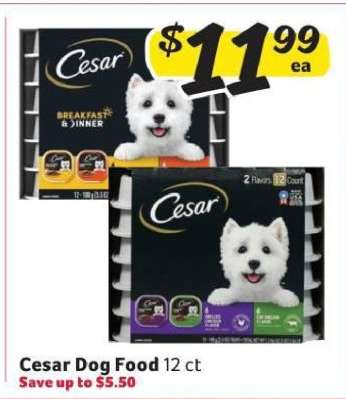 Cesar Dog Food