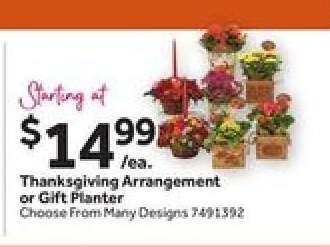 Thanksgiving Arrangement or Gift Planter