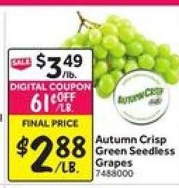 Autumn Crisp Green Seedless Grapes