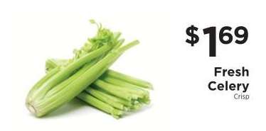 Fresh Celery
