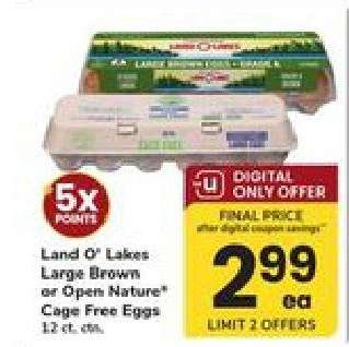 Land O' Lakes Large Brown or Open Nature Cage Free Eggs