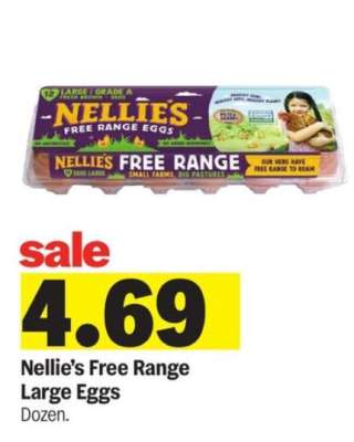 Nellie's Free Range Large Eggs