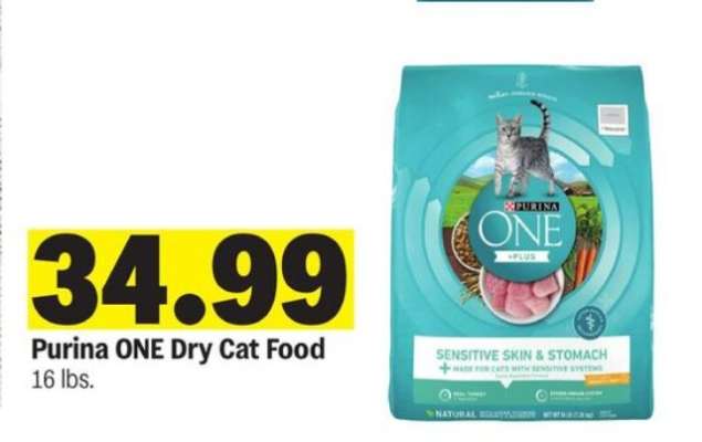 Purina One Dry Cat Food