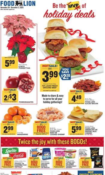 Food Lion Flyer - 11/28/2025 - 12/02/2025.