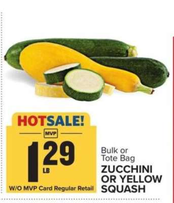 Zucchini or Yellow Squash