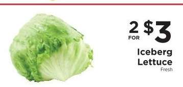 Iceberg Lettuce