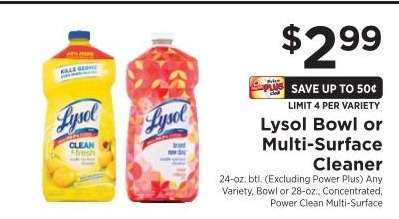 Lysol Bowl or Multi-Surface Cleaner