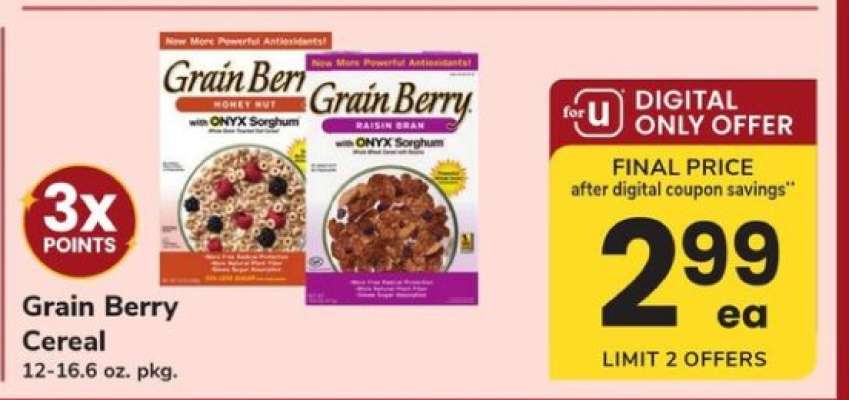 Grain Berry Cereal